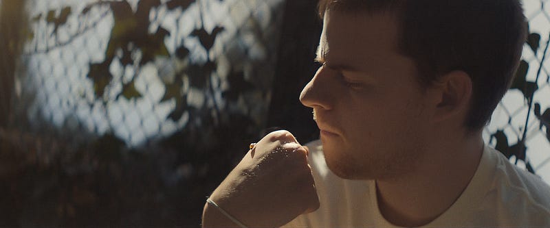 Script Analysis: “Honey Boy” — Part 2: Plot