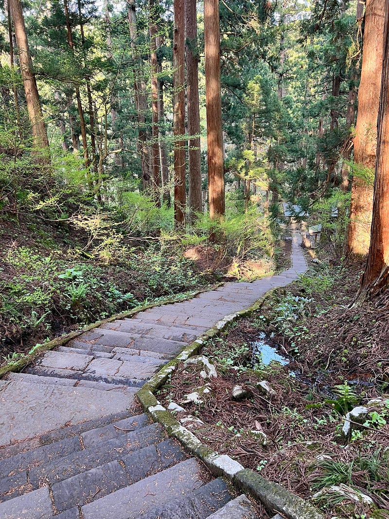 Stone staircase curving down through tall cedar trees at the start of the trail on Mount Haguro.