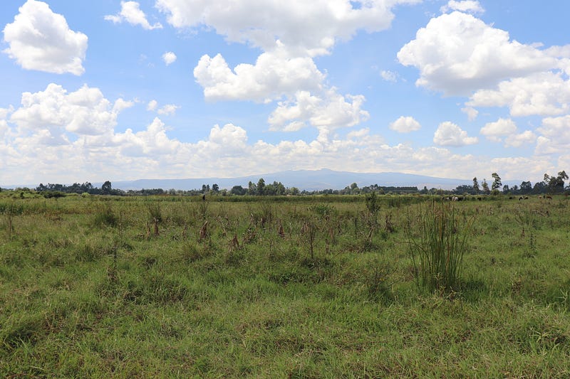 Sabwani Marinda, Africa