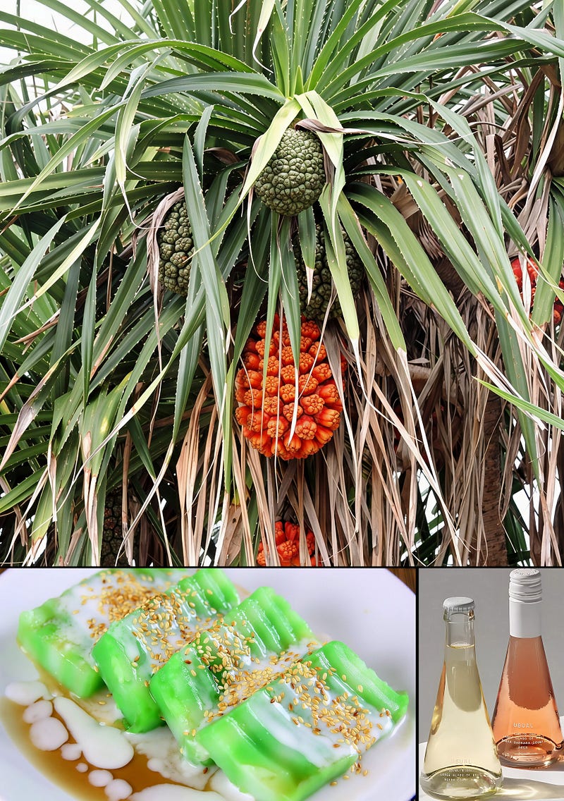 Fragrance of the Tropics: The Botanical and Culinary Allure of Pandan Leaves