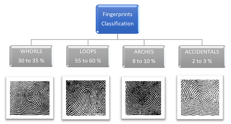 types of fingerprint