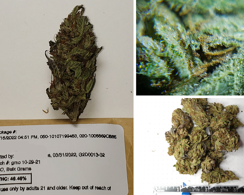 What Most Regulators Get Wrong About Cannabis Testing
