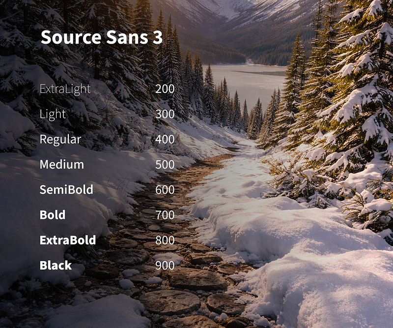 Source Sans 3