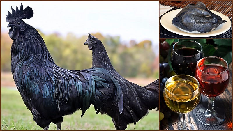 The Midnight Jewel of Poultry: Unveiling the Ayam Cemani