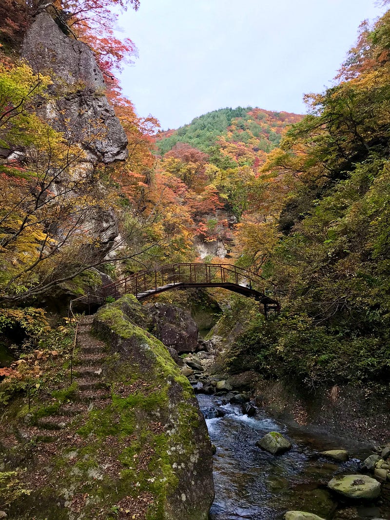 Quaint arched bridge over a narrow gorge. Fall colors everywhere.