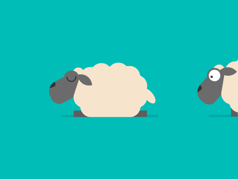 Sheep breed classification — on cAInvas