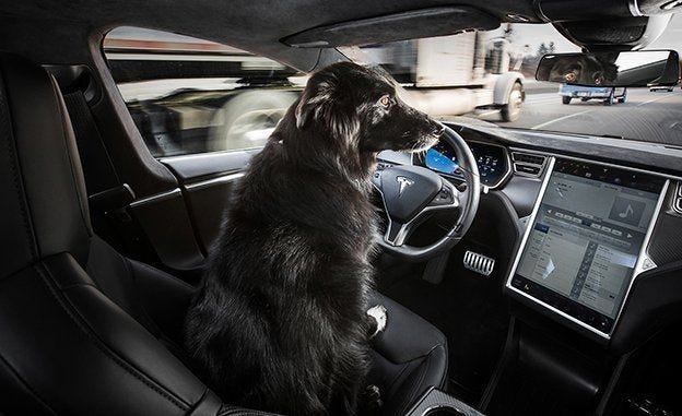 How computer vision for autonomous cars will help you eat healthier.
