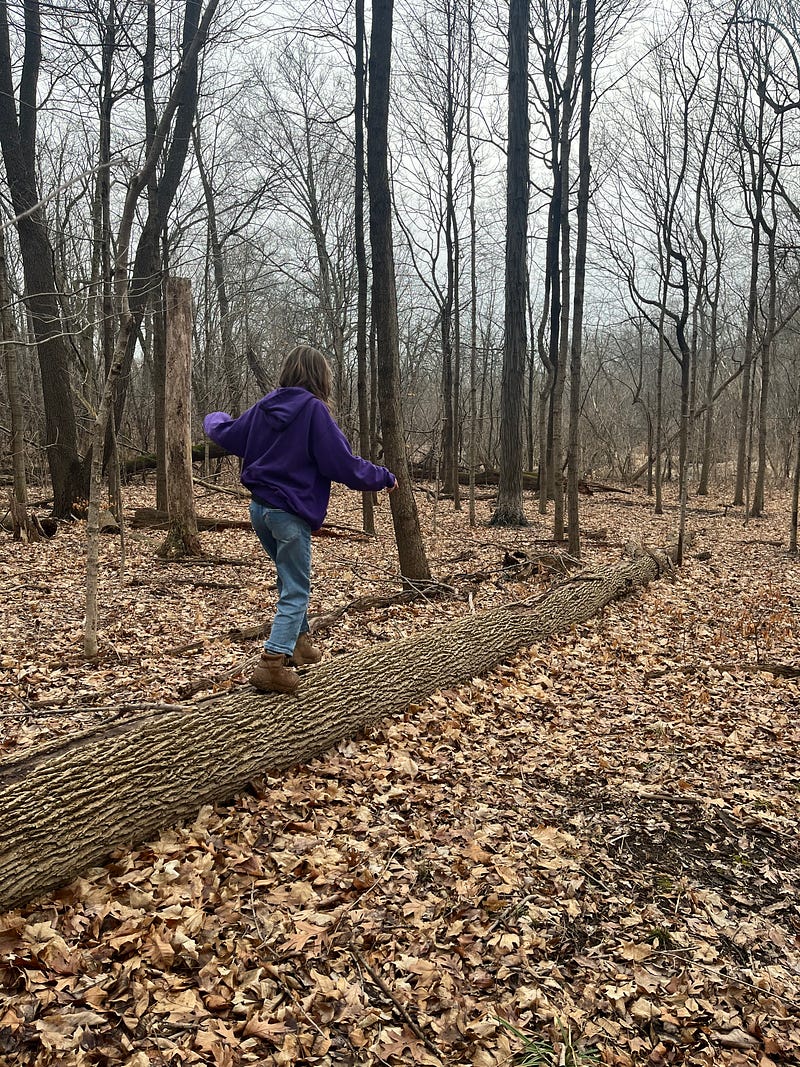 Child balancing on a fallen tree log while exploring a winter forest during a nature walk.