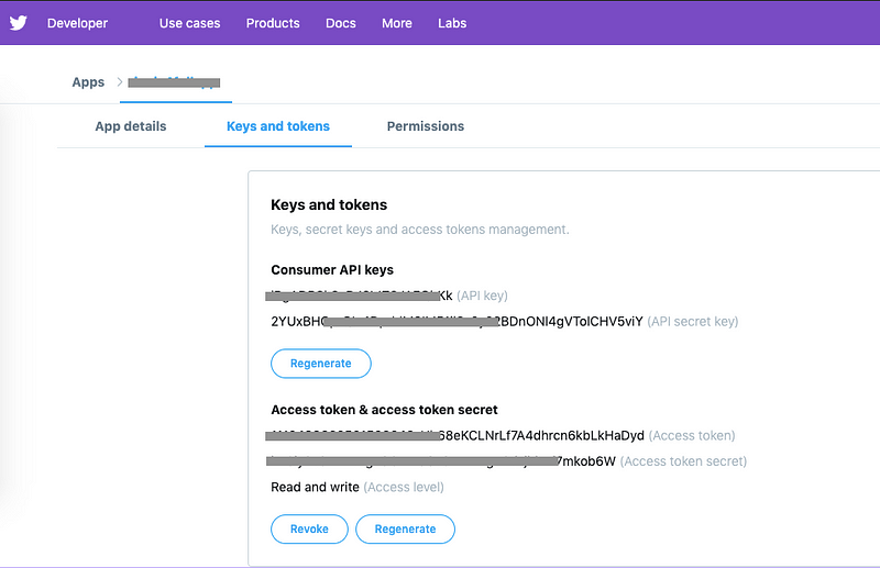 Twitter consumer API key and secret