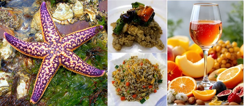 Turning the Tide: Asterias amurensis and the Culinary Redemption of the Northern Pacific Sea Star