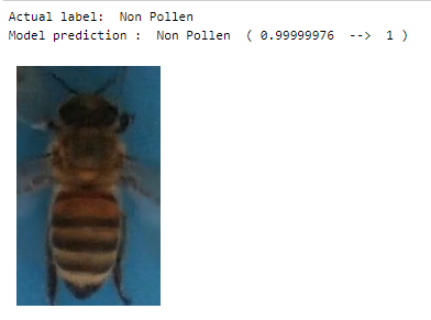 Model Prediction: Non Pollen