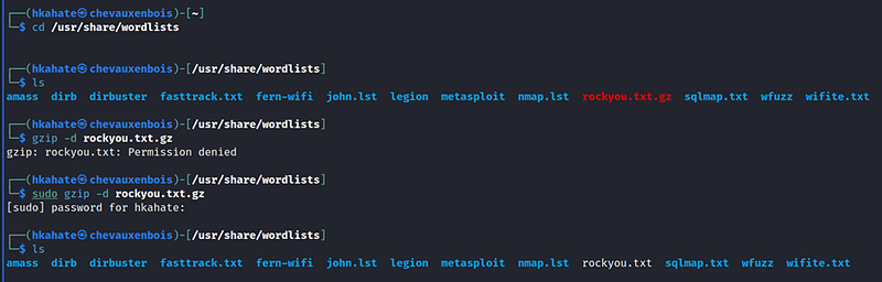 Unzipping the file