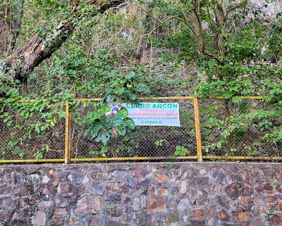 A white sign with green and red letters is attached to a fence that runs above a stone wall. The first line of the sign is visible: Cerro Ancon.