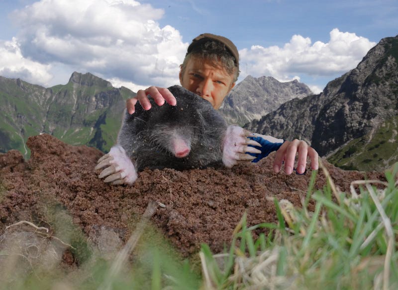 Author climbing over a mole searching for a mountain.