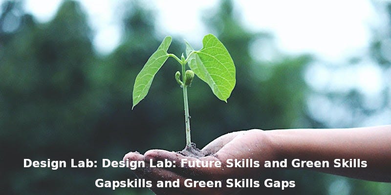 Design Lab: Future Skills and Green Skills Gaps