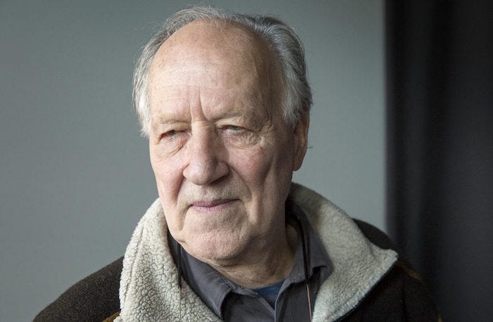 Interview (Video): Wernor Herzog