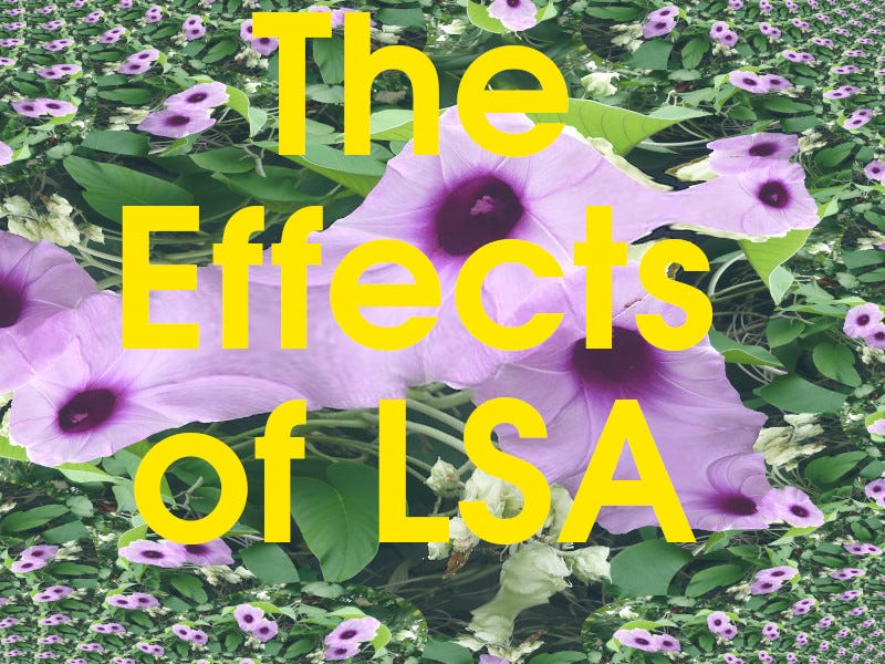 the effects of lsa argyreia nervosa