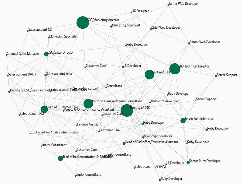 Level of Expertise — the whole team (top management dominates) - social map; sociograph