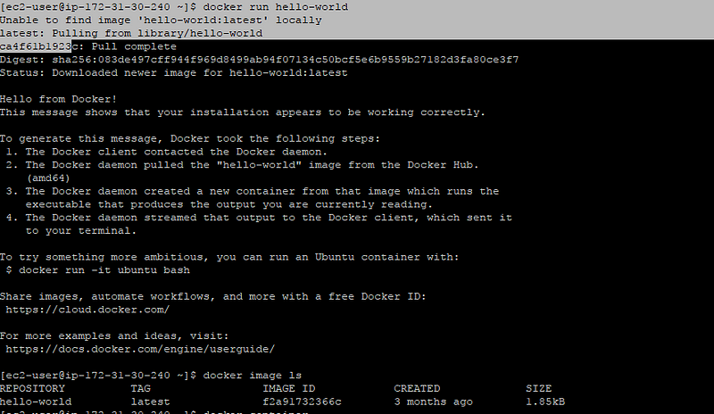 Install docker ec2 linux server