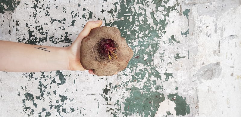 A person holding a GRIM beet