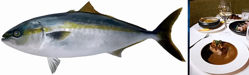 The Japanese Amberjack: Oceanic Majesty, Culinary Treasure, and a Lesson in Sustainability