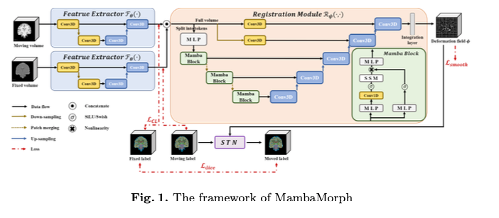 MambaMorph: a Mamba-based Backbone with Contrastive Feature Learning for Deformable MR-CT Registration