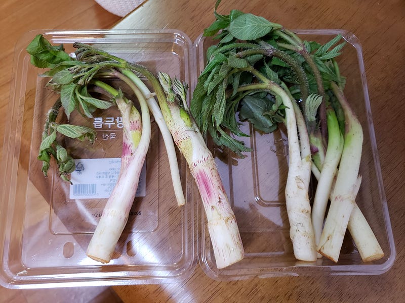 Mountain Asparagus