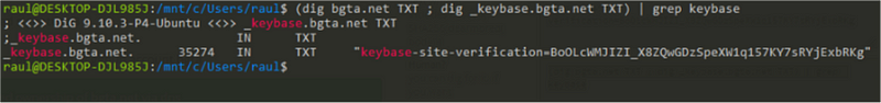 Captura de entrada TXT en el DNS