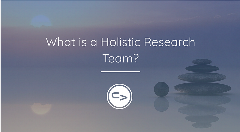 What is a 'Holistic Research Team'?