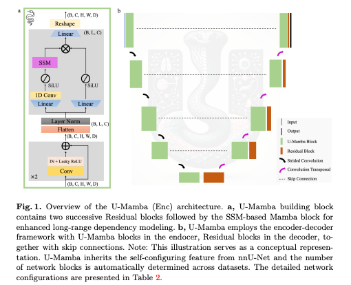 U-Mamba: Enhancing Long-range Dependency for Biomedical Image Segmentation