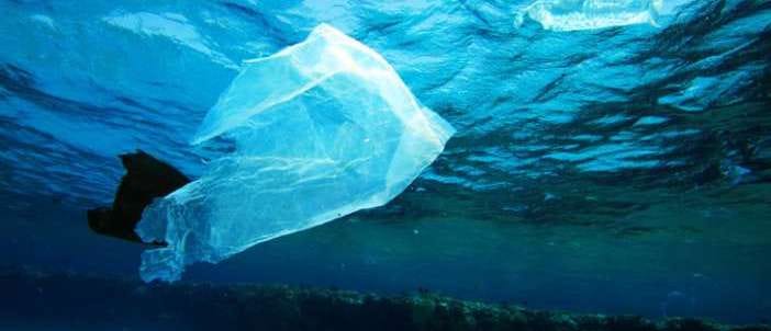 oceans environmental pollution