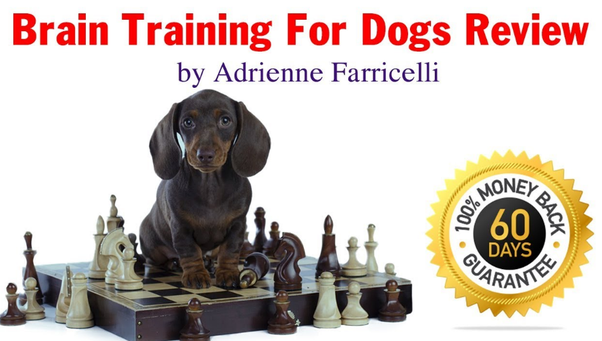 Brain Training For Dogs Review 2020