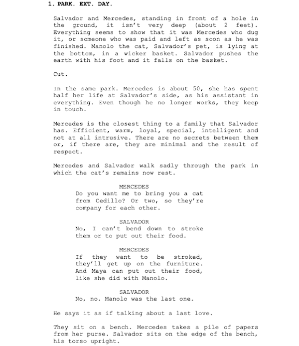 Page One: “Pain and Glory” (2019)
