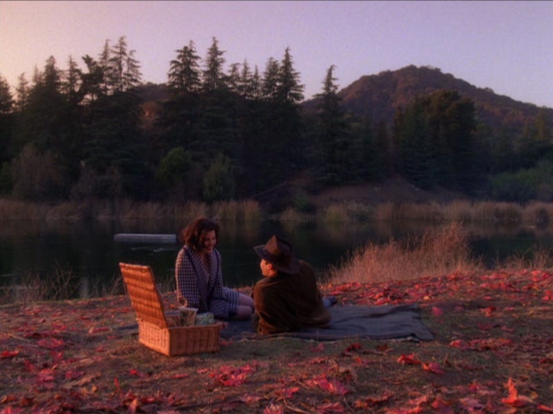 Twin Peaks Episode Guide Season 2, Episode 17 — “Wounds and Scars”