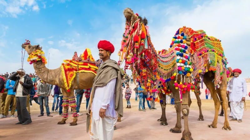 Pushkar Camel Fair 2024