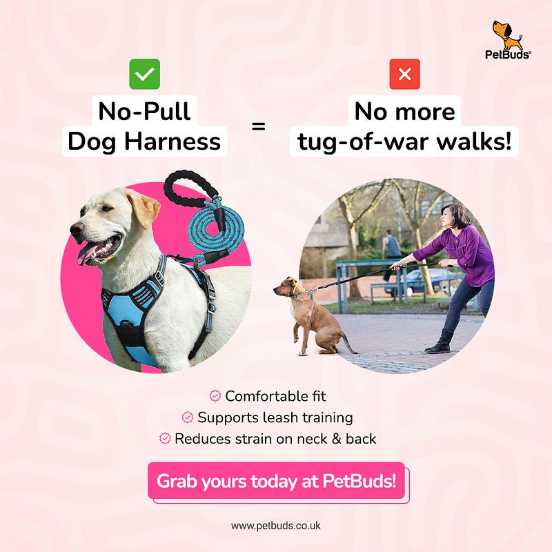 The Ultimate Guide to Choosing the Best Dog Harness and Leash for Your Pet