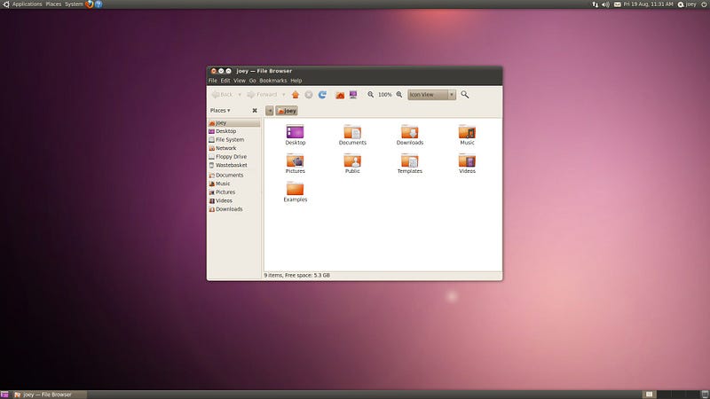 GNOME 2 on Ubuntu 10.04 “Lucid Lynx” at it’s peak. (Credit: Benjamin Humphrey on omgubuntu.co.uk)