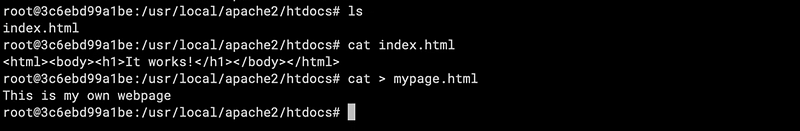 Let's create a new mypage.html.  once created to exit from the bash use ctrl + D