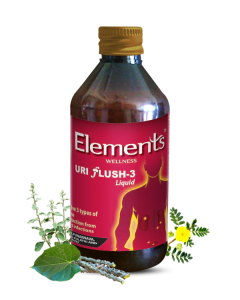 Elements Wellness Uri Flush 3 Liquid — 200 Ml