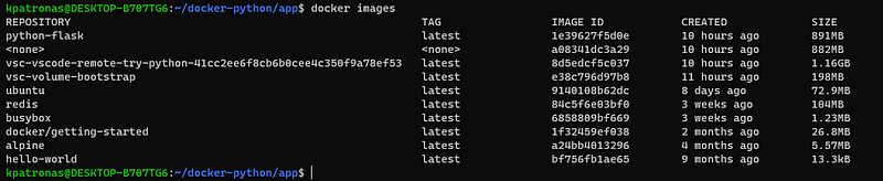 Dockerize a Python application, work with containers.