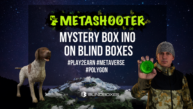 Metashooter INO on Blind Boxes: Everything You Need to Know