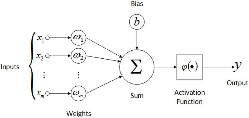 Architecture and working of neural networks for forward propagation