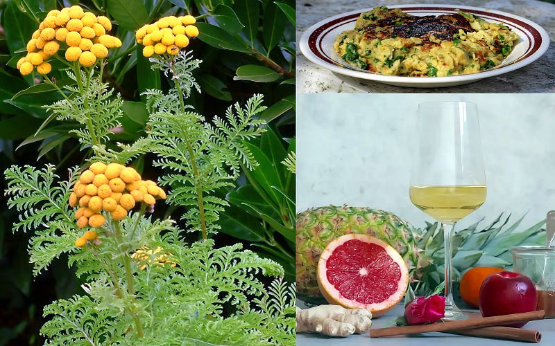 The Bitter Herb: Unlocking the Secrets of Common Tansy (Tanacetum vulgare)