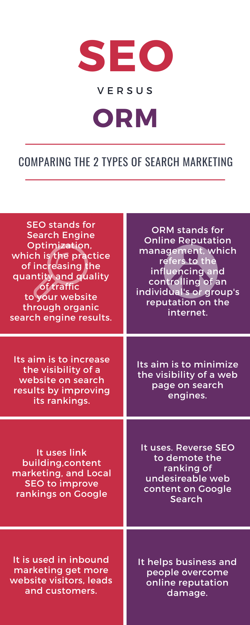 SEO and ORM Infographic