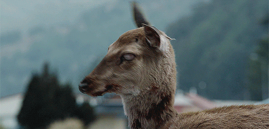 Daily Dialogue — September 18, 2019