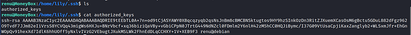 Seeing the contents of the SSH key for "lily".