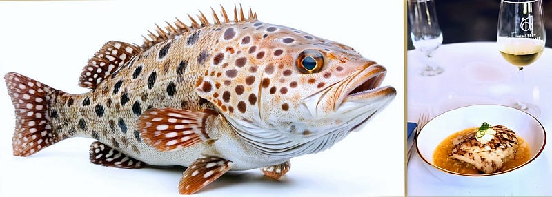 The Silent King of the Reef: Exploring the Gag Grouper’s Mystique