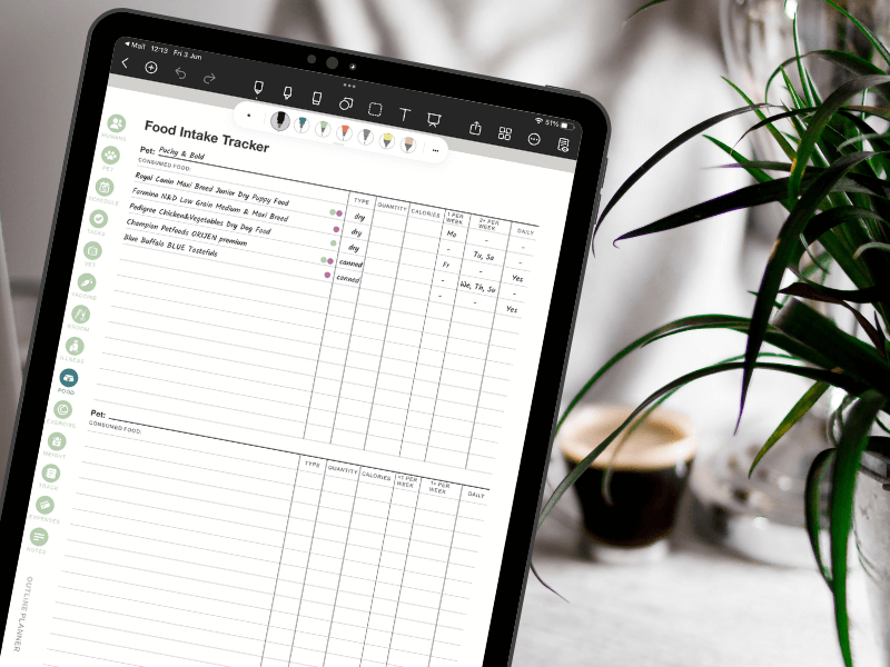 Pet Diary-goodnotes template inside the iPad Pro