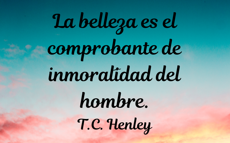 frases de belleza — T.C. Henley