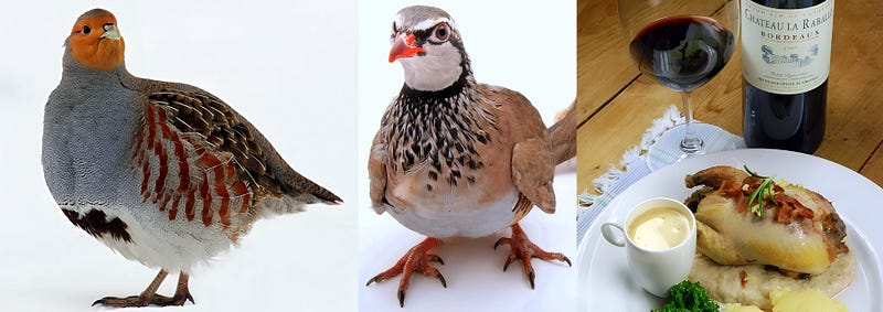 The Partridge’s Tale: From Fields to Feasts